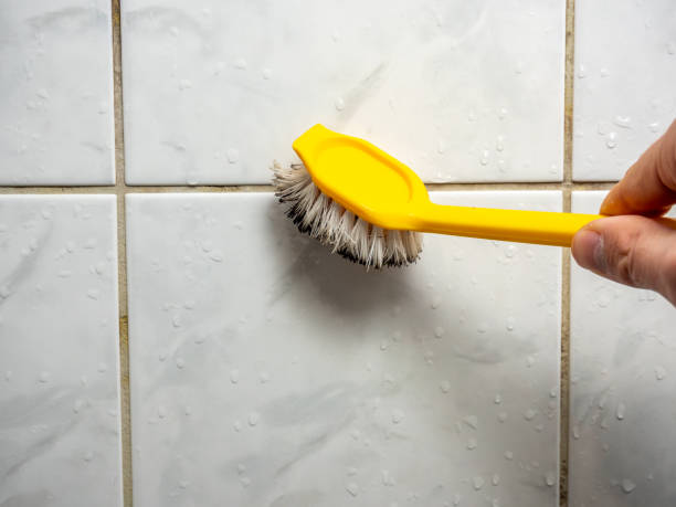Best Professional Mold Removal  in Canterwood, WA