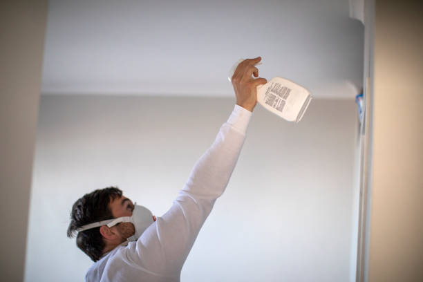 Best Toxic Mold Removal  in Canterwood, WA