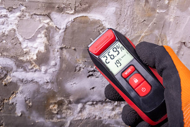 Best Crawl Space Mold Removal  in Canterwood, WA