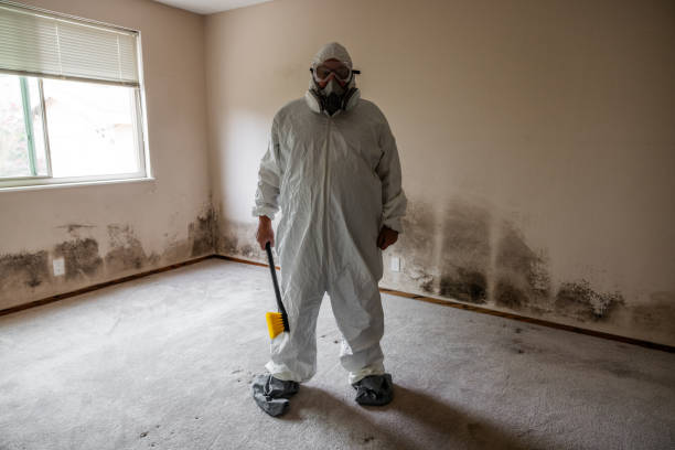 Best Mold Testing  in Canterwood, WA